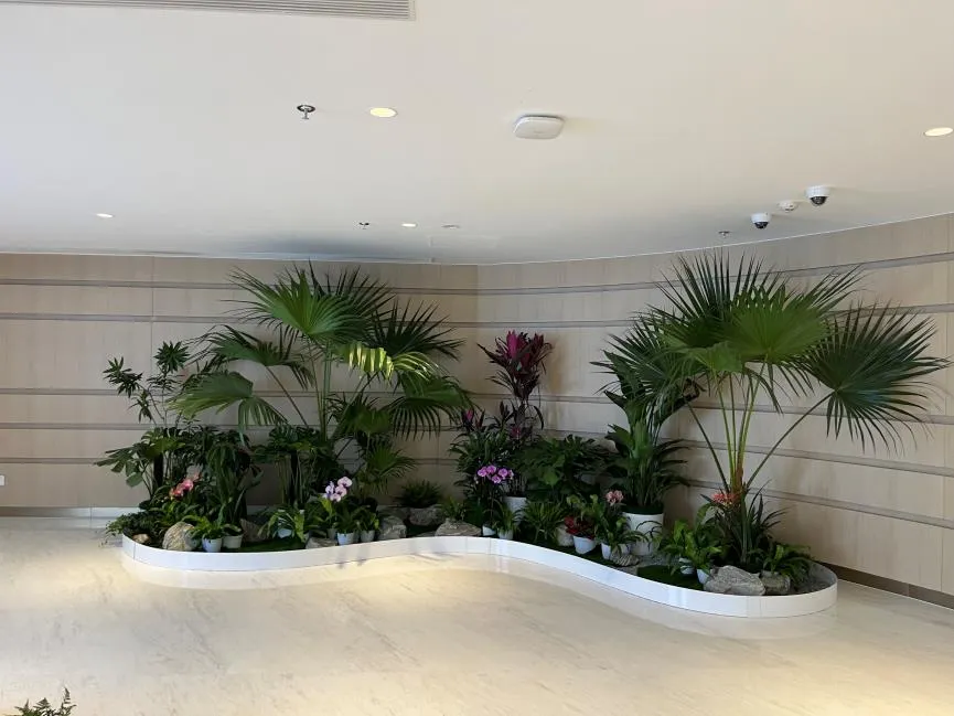 探秘宁波北仑绿化修剪方案，开启绿色生态新篇章！